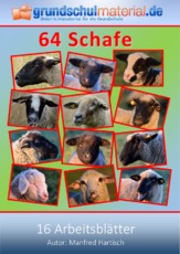 Schafe.pdf